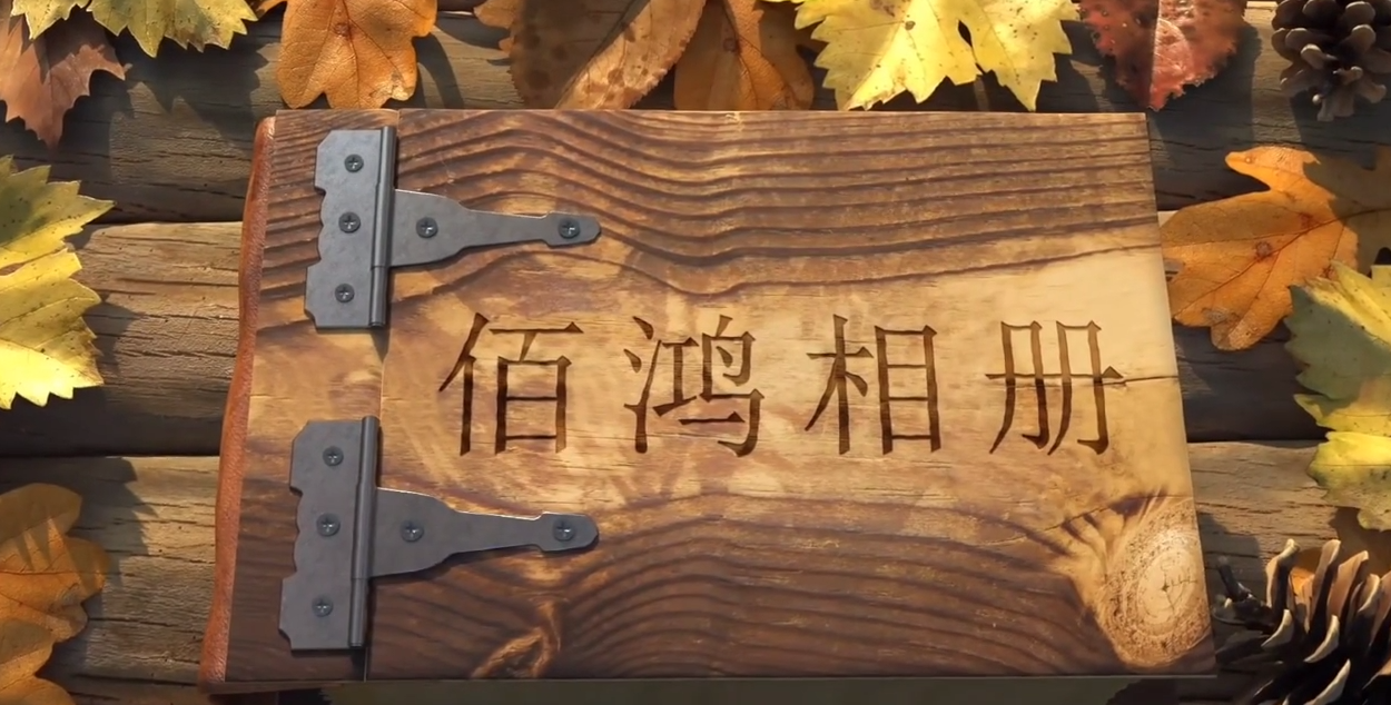 2023-04 九年，從破土而出到碩果累累，從深耕再生醫(yī)學(xué)，到擁有多項(xiàng)技術(shù)專(zhuān)利，從術(shù)業(yè)專(zhuān)攻，到涉獵三大領(lǐng)域九年，時(shí)間長(zhǎng)河里的滄海一粟對(duì)于我們卻是3千多日日夜夜未來(lái)，我們有更多鴻圖…